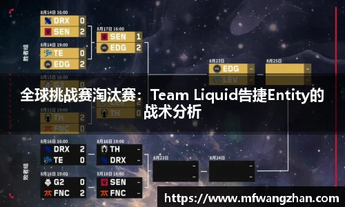全球挑战赛淘汰赛：Team Liquid告捷Entity的战术分析