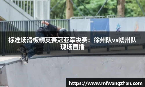 标准场滑板精英赛冠亚军决赛：徐州队vs赣州队现场直播