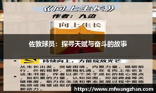 yy易游官方网站